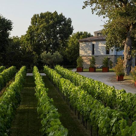 Villa Borgo San Gregorio Sorbo Serpico Exterior foto
