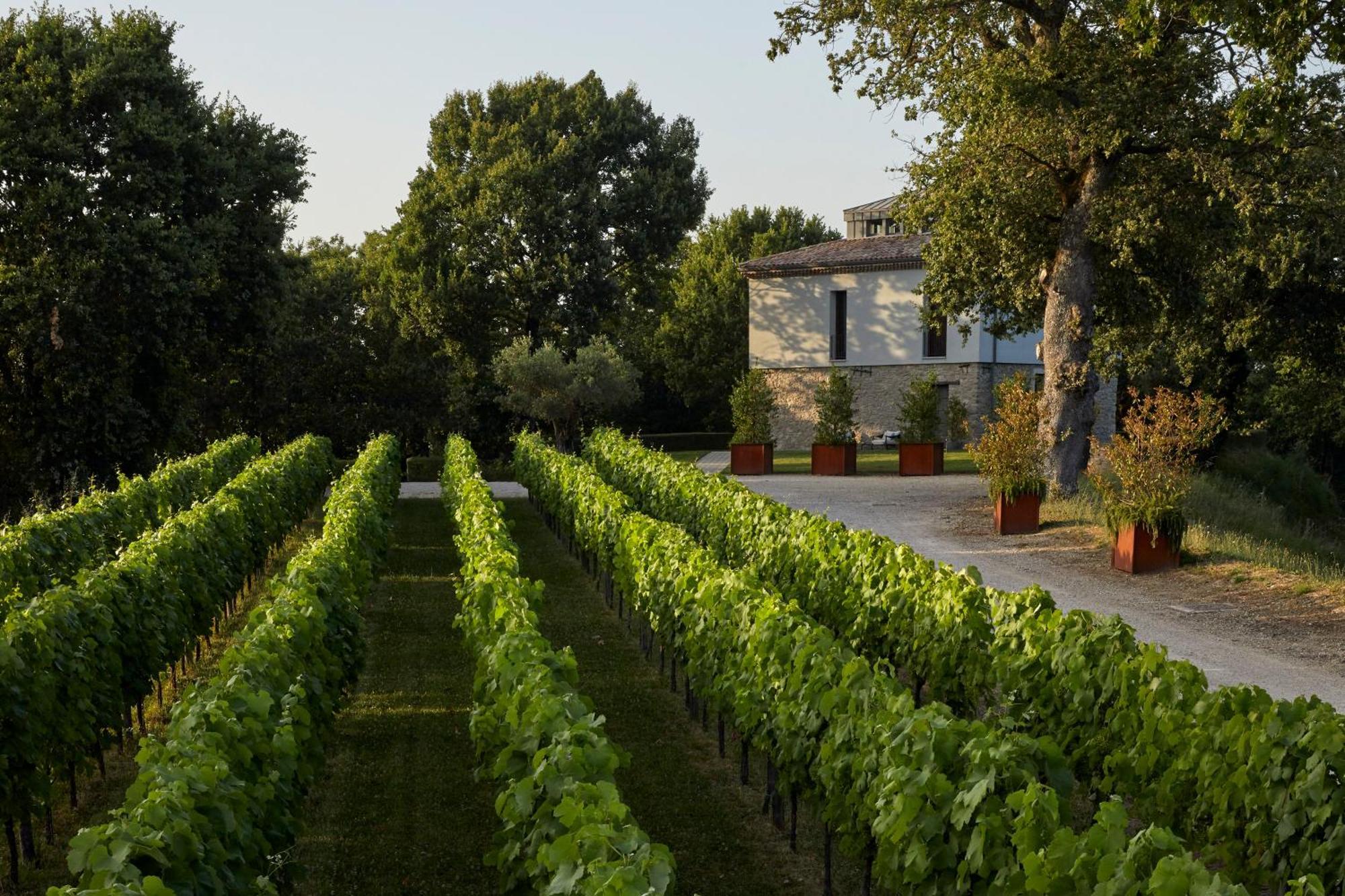 Villa Borgo San Gregorio Sorbo Serpico Exterior foto